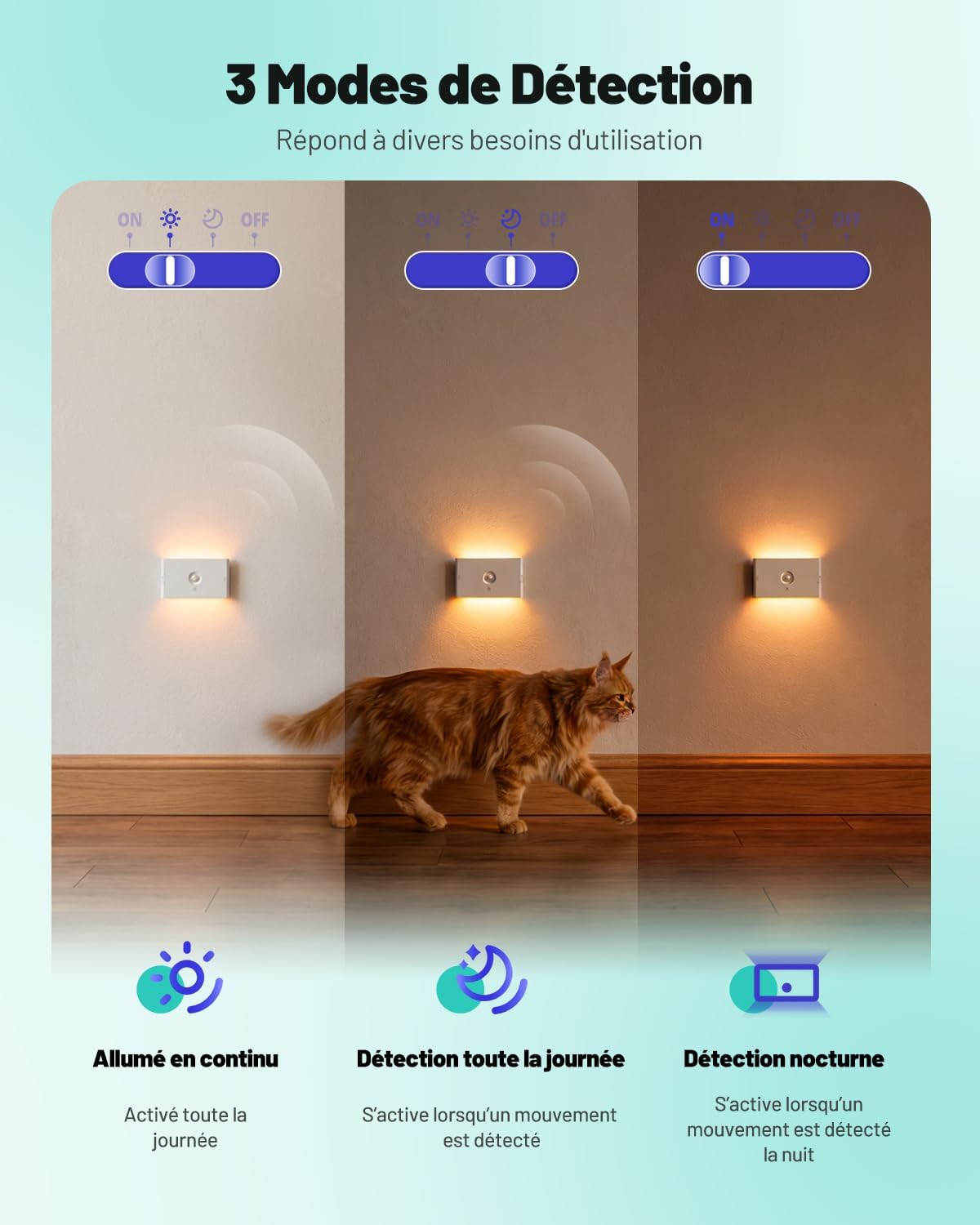 Dinoho Night Light Installation