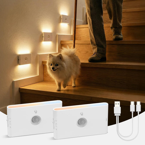 Dinoho Night Light Main